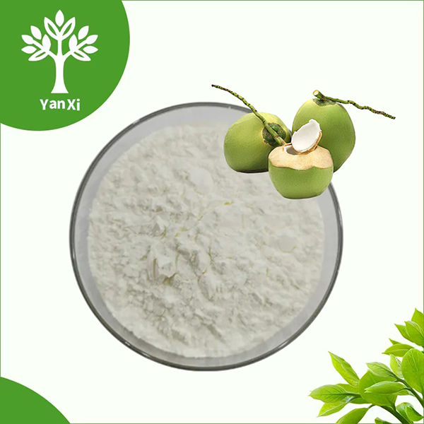 Coconut Milk Powder Coconut Milk Powder
